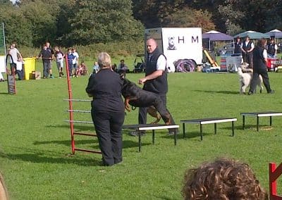 Netherley Show — photo 2 of 8