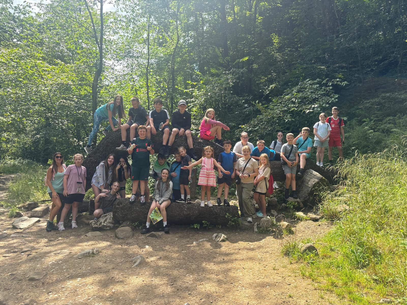A big group of children and staff posing on a fallen tree trunk in the sunshine on a woodland walk.
